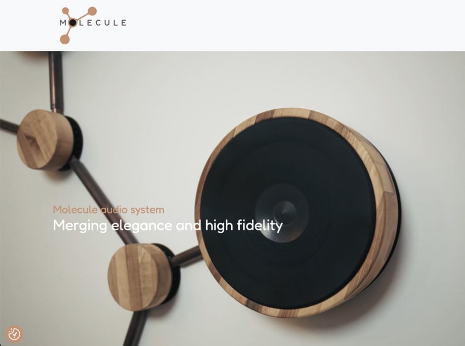 Spletna stran Molecule Audio z logotipom in naslovom Merging elegance and high fidelity čez posnetek zvočnika